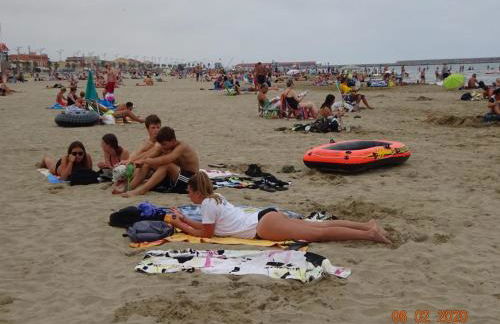 Le Mieukerien - Réserve africaine 15 mn - Plage 200 m - Foto 23