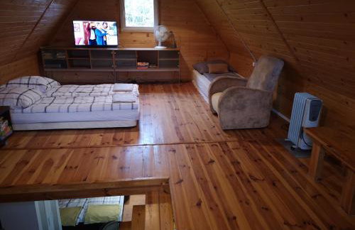 domki nad jeziorem, las, do 10 osób jezioro Wilczyńskie Budzisławskie - domek letniskowy osobno ogrodzony, ogrzewany mile widziane pieski, zwierzeta- wielkopolska, 62-550 Zygmuntowo gm Wilczyn - Photo 26