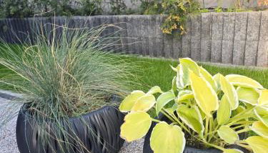 Apartament Nad Nielbą 6Bm2 z ogrodem - Foto 2, Garden view