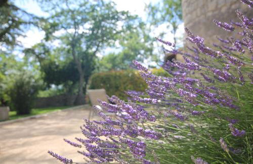 Château De Chaussy - Foto 17