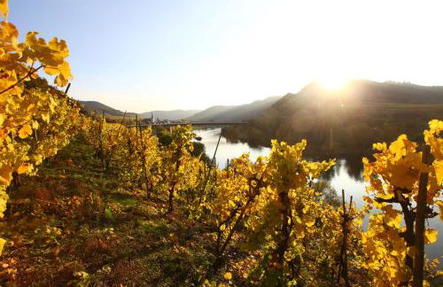 Appartement Familie Ernst - Foto 8