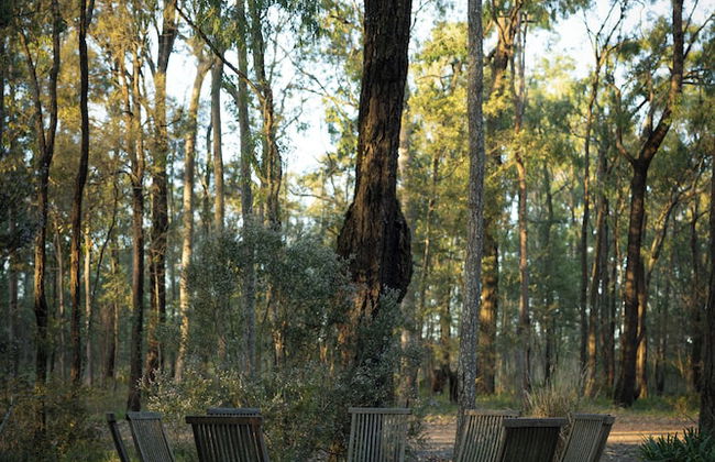 Pokolbin Cottages - Photo 24