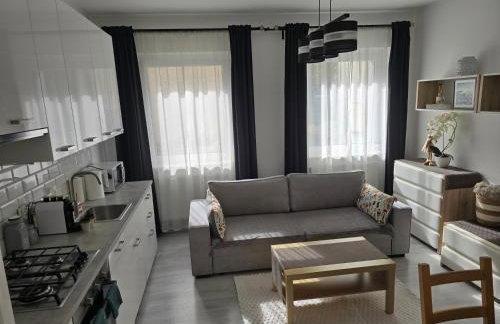 Apartament Mickiewicza - Foto 1