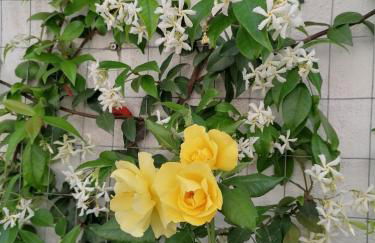 Casa Low Cost - Foto 76