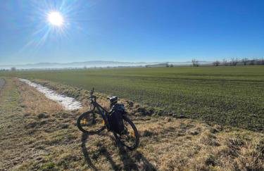 Drewniany dom w brzozowisku - Foto 58