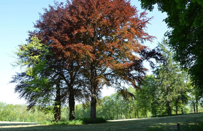 Cozy Cottage, Basse-bodeux - Photo 24