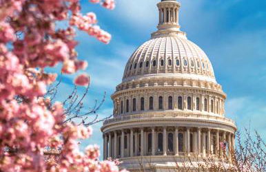 Luxury 3BR with Parking in Heart of DC - Steps to Metro - Foto 46