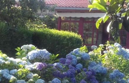 A Casa do Buxo - Foto 1