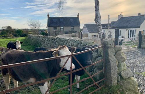 Bracken Cottage - Photo 9