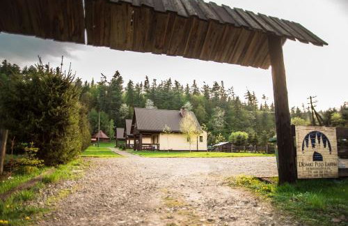 Domki Pod Lasem - Foto 11