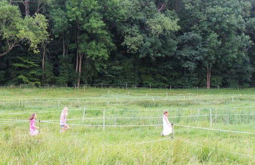 Ferienhaus in der Naehe der Ostsee - Foto 46