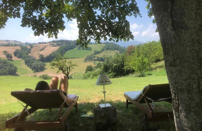 Agriturismo Al Respiro Nel Bosco - Foto 15