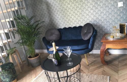 La petite Brainoise - Gîte avec salle jacuzzi 120 jets - Foto 14