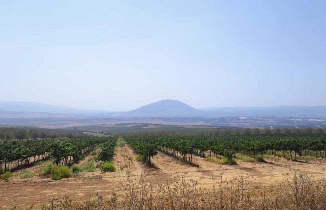 Mount Tabor Home by Sea N' Rent - Foto 52