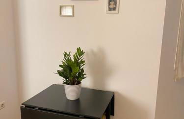 Private terrace & Free Parking - Photo 11