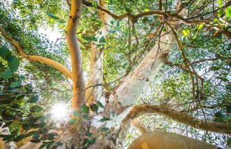 La Maison de la Mer - Vacation home in Normandy - Foto 27