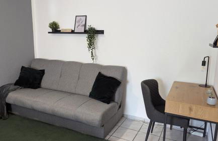 Gemütliche Wohnung mit Parkplatz - Foto 3