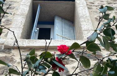 Domaine de Coubillou - Foto 56