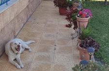 Asterios House - Photo 43