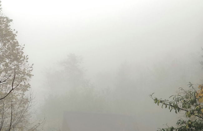 Thomas Hut - Foto 48