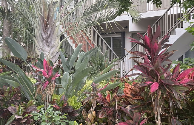 Petrina Studio Apartment - Foto 56