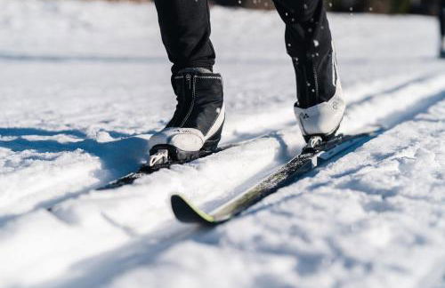 Schreinerhäusle nähe Titisee - Foto 14