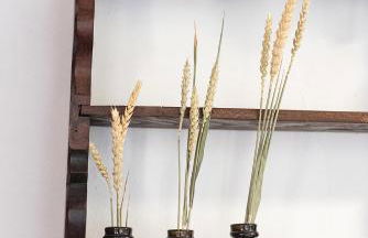 Domaine de Saint Pons - Foto 36