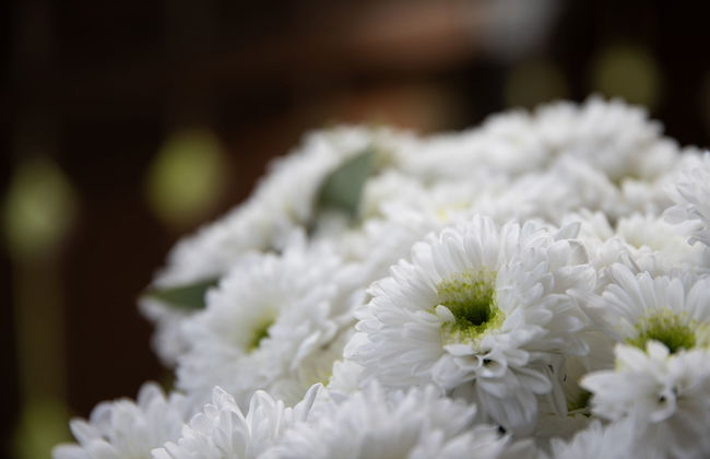 Chesa Dal Luf B6 - Foto 12