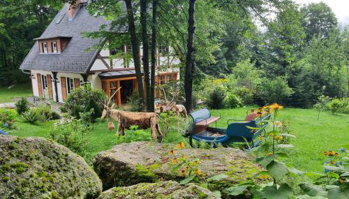 Za Siódmą Górą - Foto 3, Garden