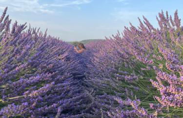 MAS Sun villa famille en campagne - Foto 31