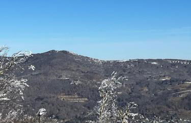 Beech Mountain Swiss-style Chalet - Foto 30