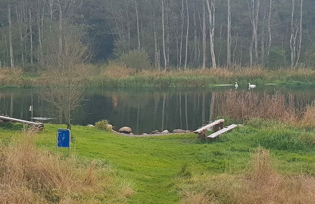 6 Person Holiday Home in Ans By - Photo 17