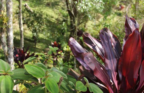 Solar Mirandela - Foto 40