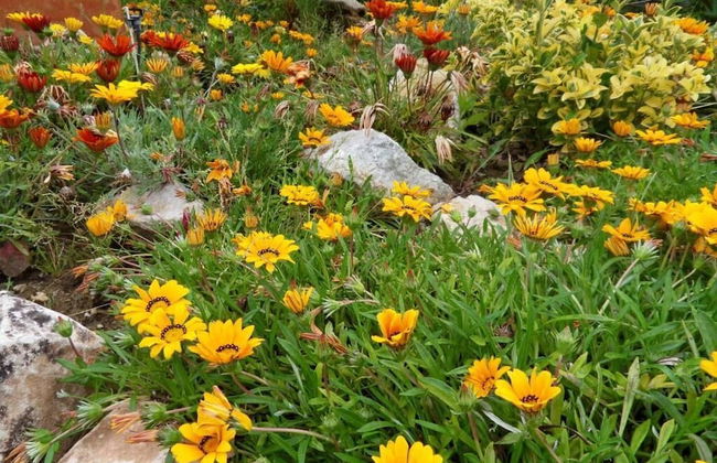 Bed & Breakfast Casa don Carlos - Foto 55