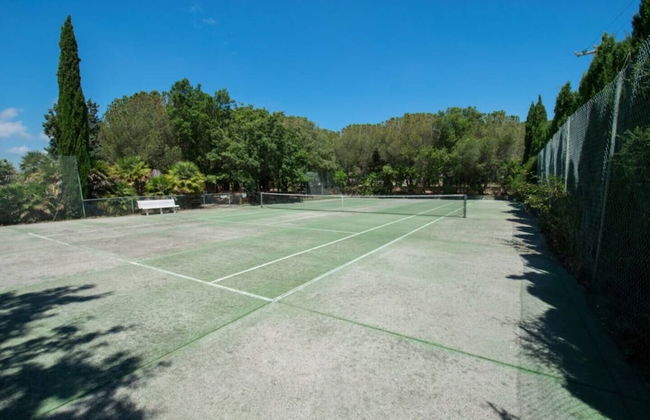 Azienda Agricola Sapereta - Foto 21