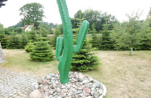 Domki Kaktus - Foto 54