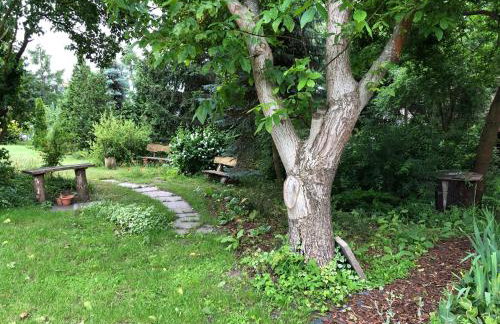 Domek całoroczny blisko lasu i morza na urokliwej działce 4300 m2 - Photo 8