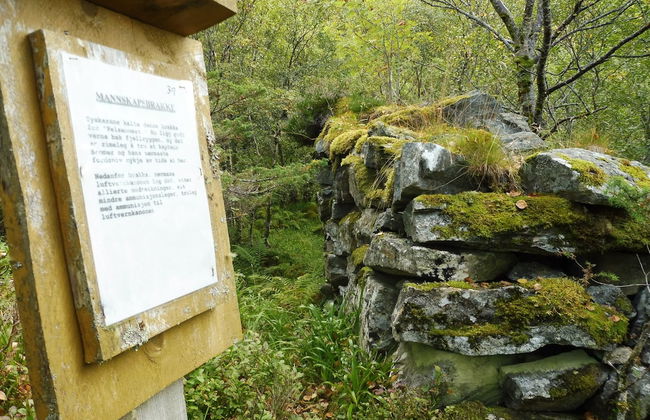 Fiskesenter Birkeland - Photo 47