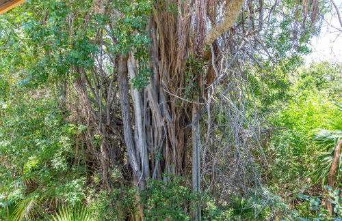 The Florida Keys Treehouse in Marathon, FL - Foto 30