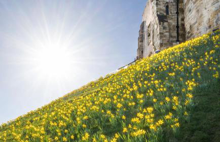 Dovecote House - Luxury Town House - Dog Friendly - Foto 45