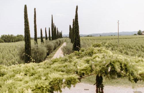 Dimora Buglioni Wine Relais - Foto 48