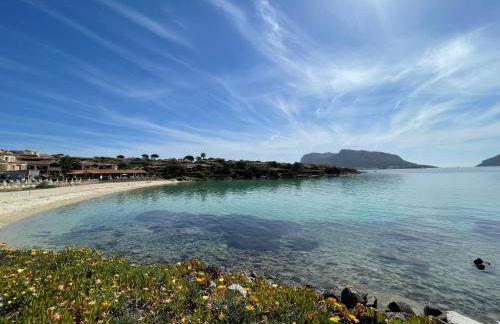 Comfort e panorama mozzafiato a Golfo Aranci - Foto 35