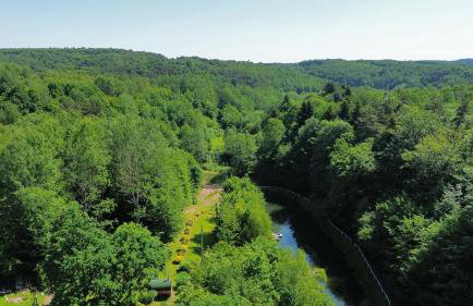 Leśniczówka domek balia sauna jeziorka w lesie na wyłączność - Foto 25