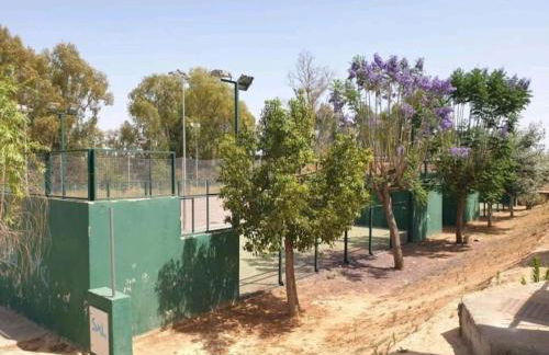 Alojamiento con piscina en Sevilla - Photo 13