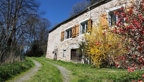 Gîte LA FENIAL - Photo 3, Garden, Garden view