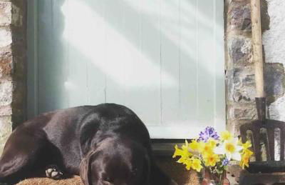 The Nookery - Foto 14