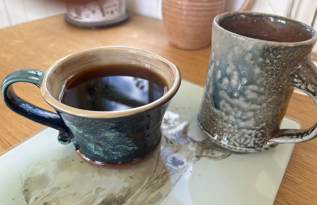 Cosy Devon Hut With Private Hot Tub - Foto 16