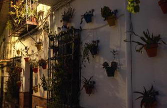 Casona El Chaparral - Foto 24