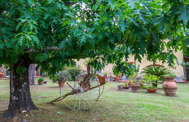 Tenuta San Lazzaro - Foto 70