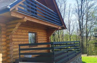 Kwietna łąka na szlaku - Foto 46